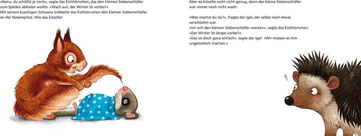 Actual product image Der kleine Siebenschläfer (German, Sabine Bohlmann, Kerstin Schoene, 2019)