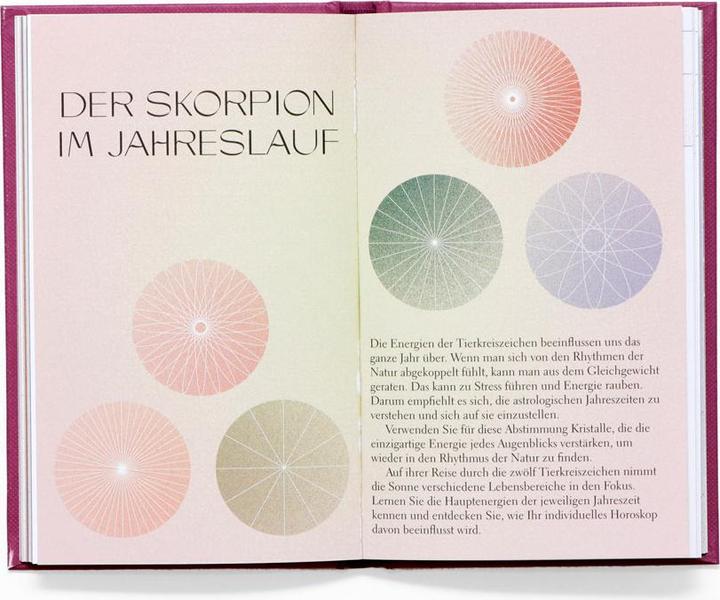 Actual product image Skorpion (German, Sandy Sitron, Wiebke crab, 2022)