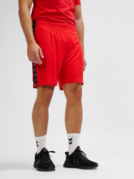 Image du produit hummel Hmlauthentic Pl Shorts (M)