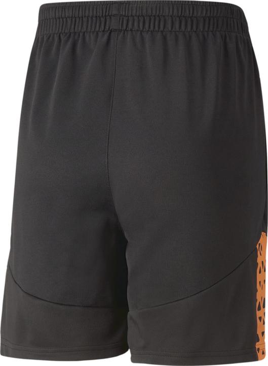Produktbild Puma individualCUP Training Shorts Jr (164)