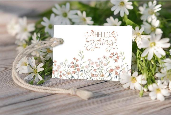 Produktbild Ursus Handlettering Karten Boho 48ST sortiert (300 g/m², 16 x)