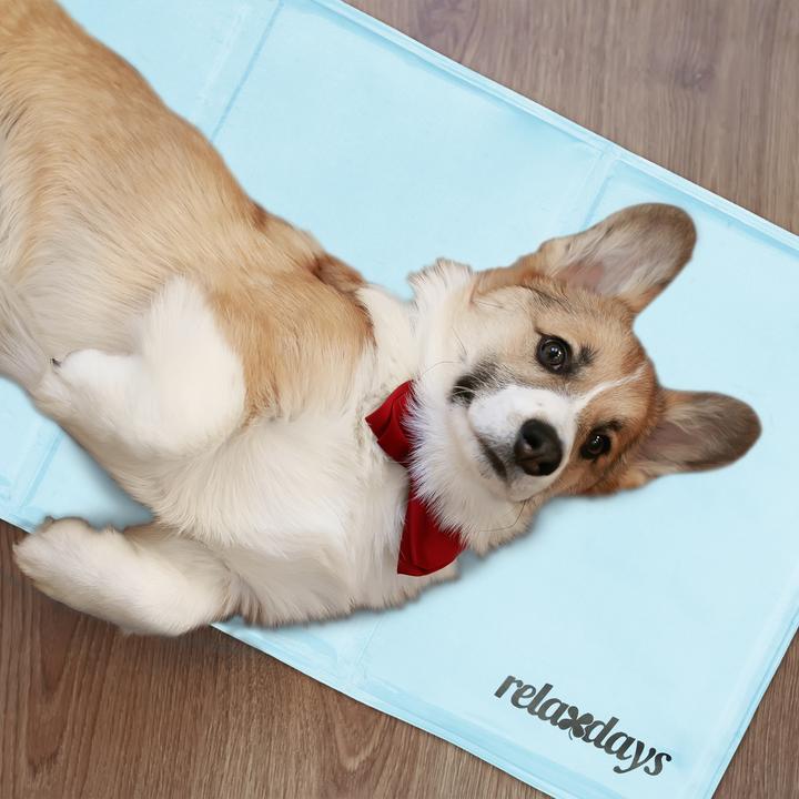 Actual product image Relaxdays Cooling mat (Dog)