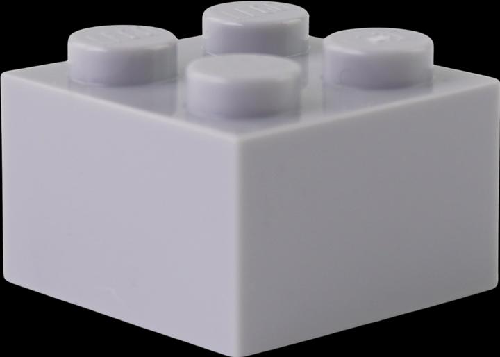 Actual product image LEGO 2x2 Bricks Light grey - 100 pieces - Light bluish grey bricks 3003 (3003, LEGO Accessories)