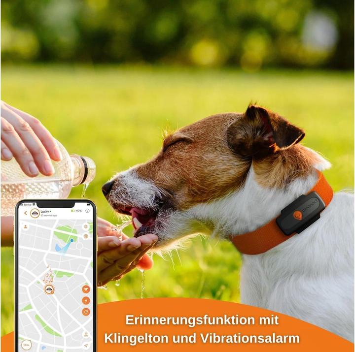 Image du produit Weenect Traceur GPS XS pour chiens, noir (Chien)