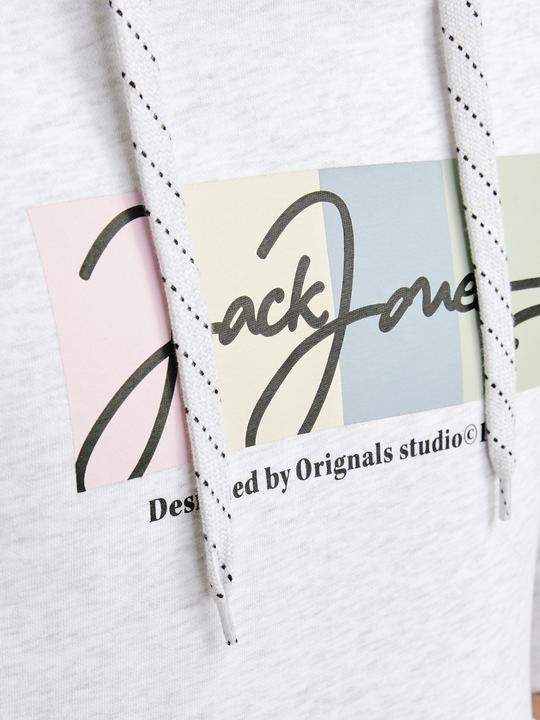 Immagine prodotto Jack & Jones Jorportland Block Sweat Hood Ln (M)