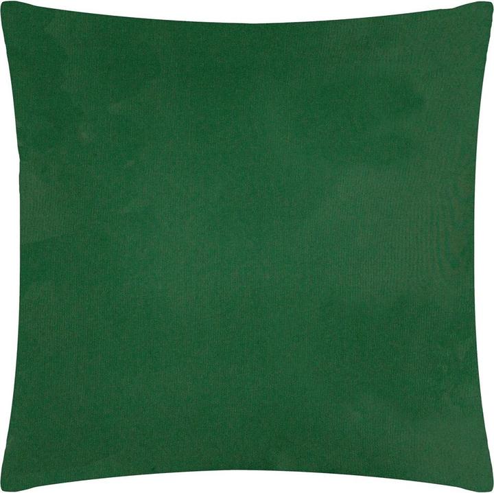vert bouteille