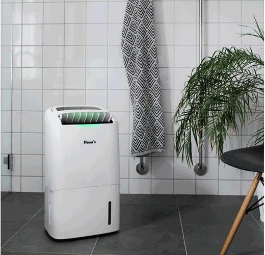 Immagine prodotto Wood's Ad20 (100 m², 22 l/24h)