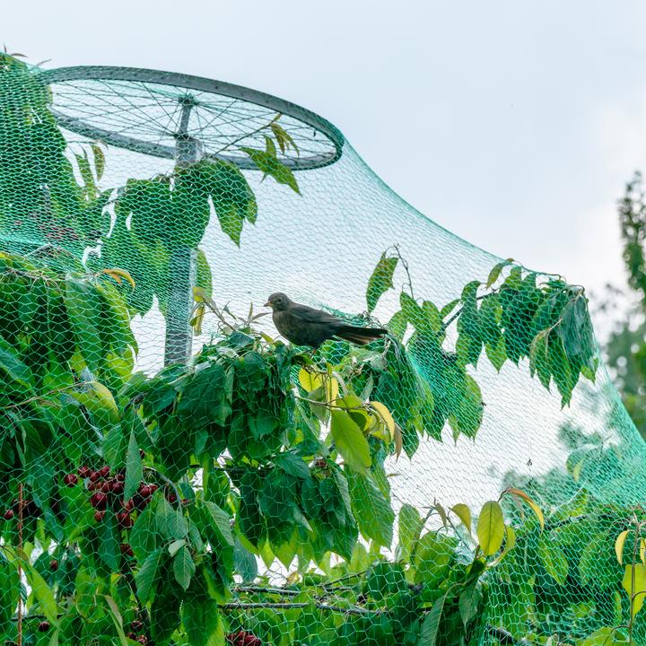 Produktbild Relaxdays 3x Vogelnetz