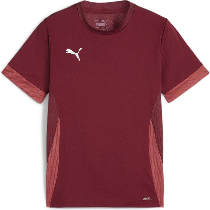 Actual product image Puma teamGOAL Matchday Jersey jr (152)