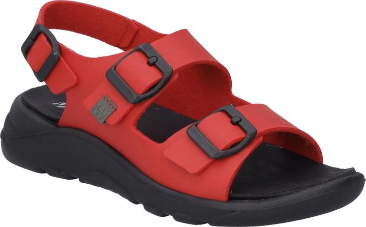 Rot