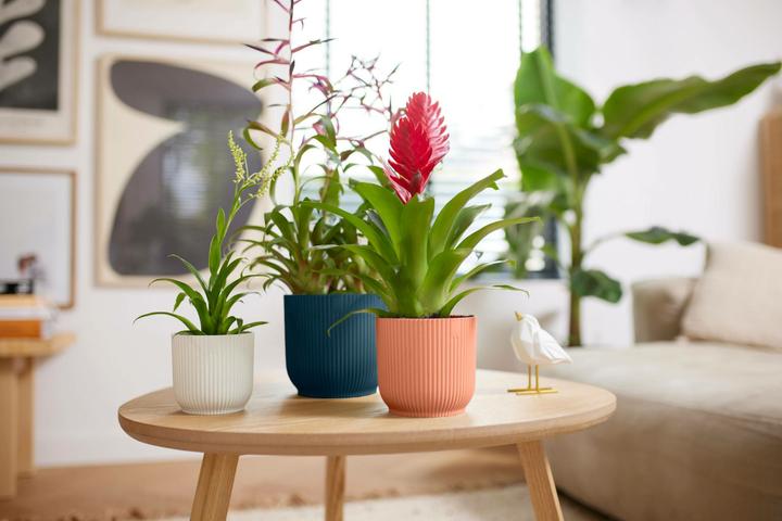 Immagine prodotto Elho Vibes Fold (18.35 cm)