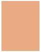 Actual product image Max Factor Facenity Compact Spf20 Face Foundation 040 10G (040 Creamy Ivory)