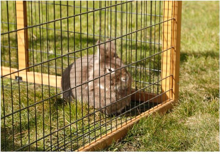 Actual product image Kerbl Free-range enclosure with escape barrier