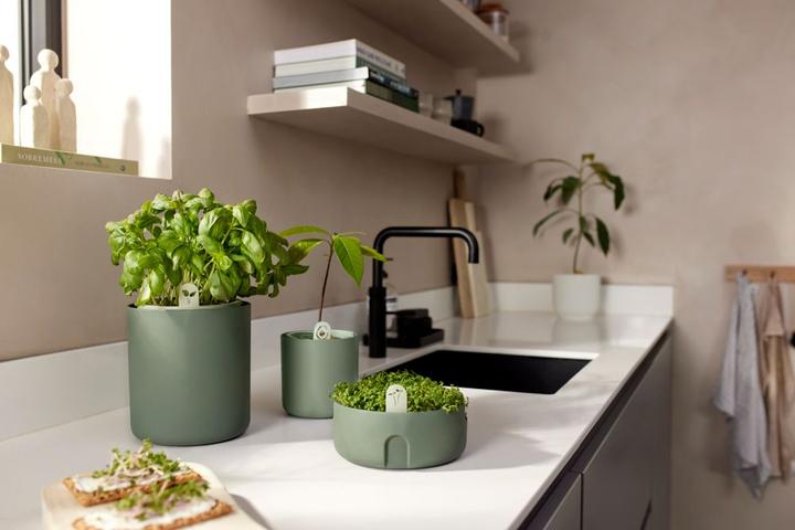 Produktbild Elho Magic Microgreens (16.80 cm)