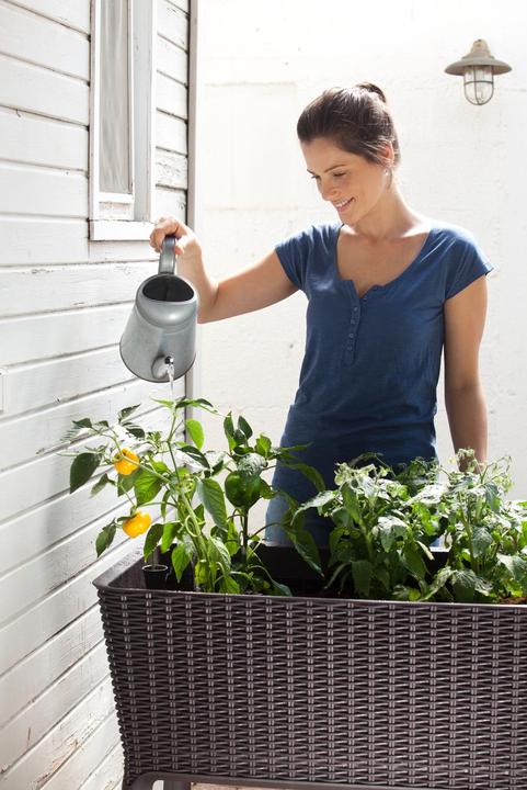 Produktbild Keter Easy Growing