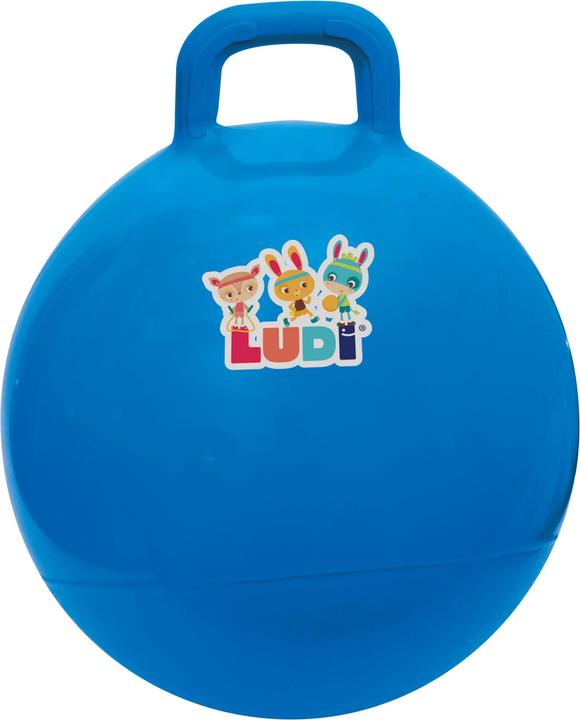 Actual product image LUDI Balloon Sauteur 45 cm