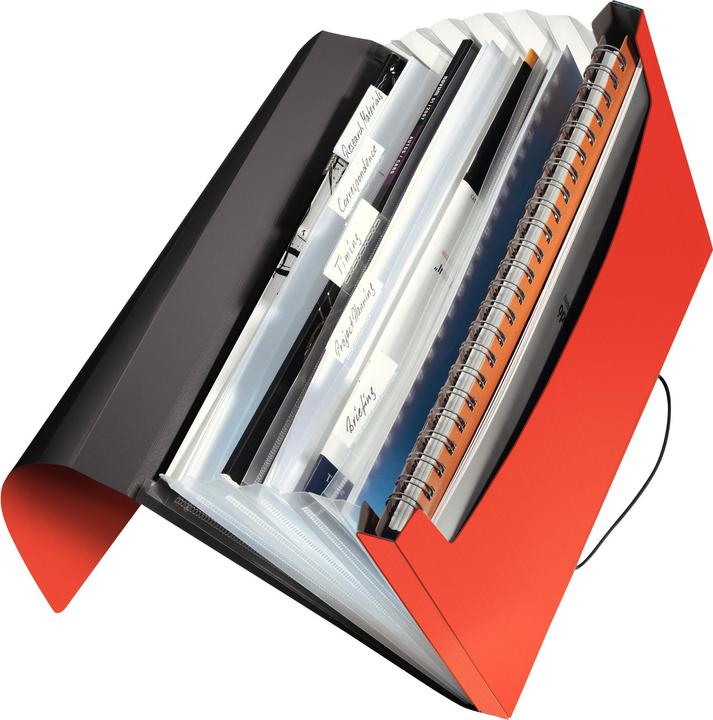 Immagine prodotto Leitz Solid (A4, 1 x)