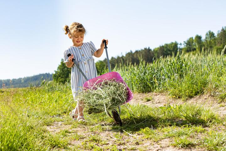 Image du produit Outdoor Active brouette métallique