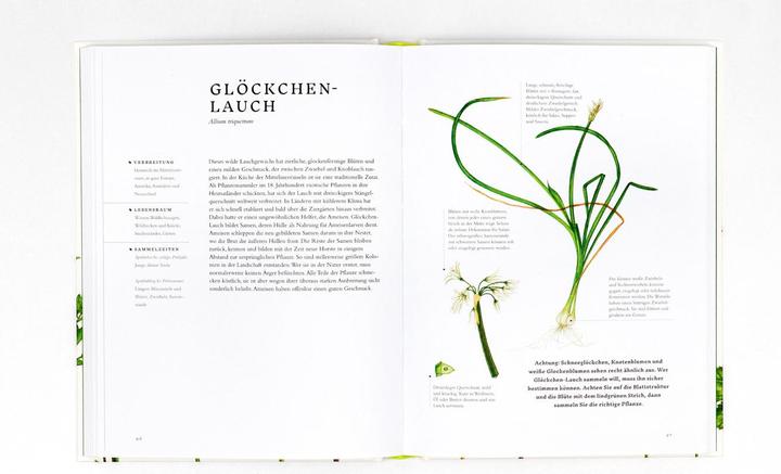 Produktbild Essbare Wildpflanzen (Deutsch, Liz Knight, Wiebke Krabbe, Rachel Pedder-Smith, 2021)