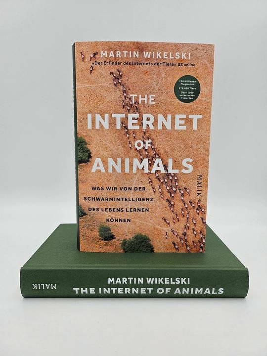 Actual product image The Internet of Animals: Was wir von der Schwarmintelligenz des Lebens lernen können (German, Sven Dörper, Thomas Wollermann, Martin Wikelski, 2024)