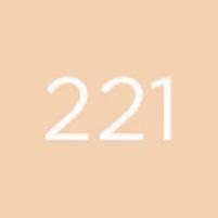 Produktbild Diego dalla Palma Geisha Lifting Fond de Teint No 221 (221)