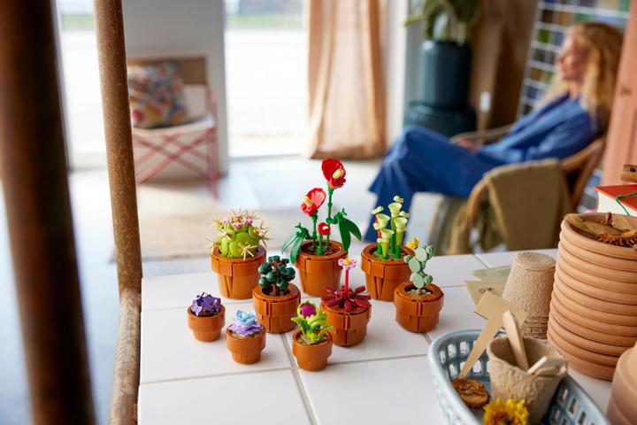 Produktbild LEGO Mini Pflanzen (10329, LEGO Botanical, LEGO Icons)