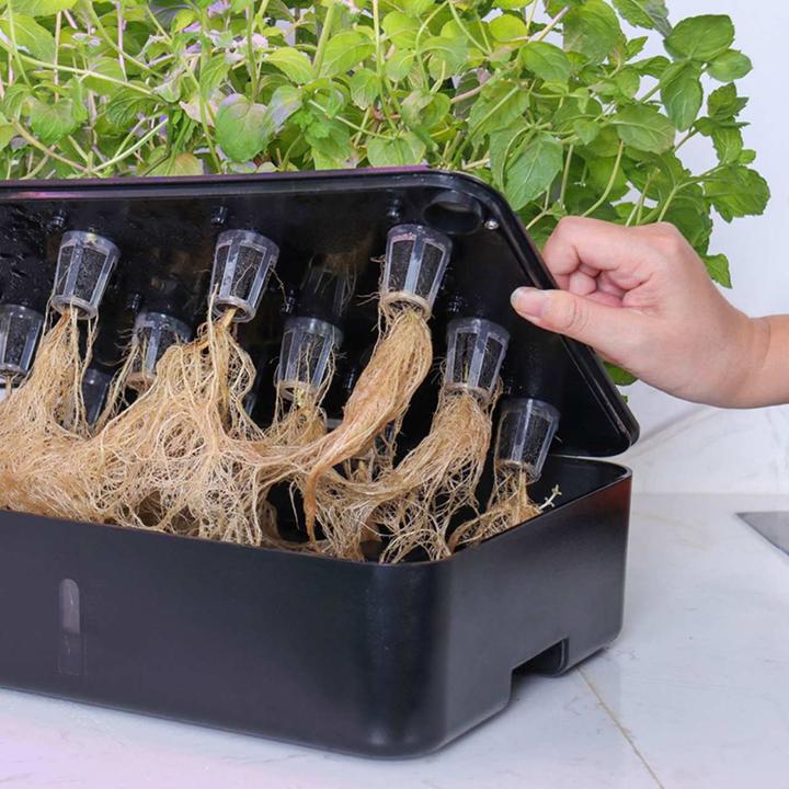 Actual product image Litrax LX202 - ROBIN salad garden