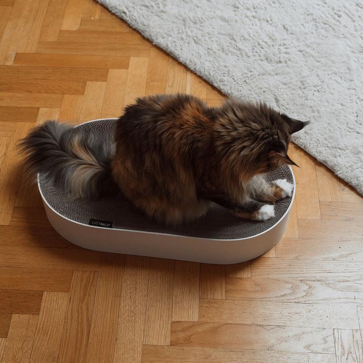 Produktbild LucyBalu SCRATCHBED Kartonbett (Katze)