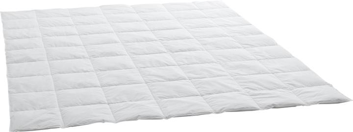 Produktbild Swiss Dream by billerbeck Clima Caro Classic 90 (500 g, 160 x 210 cm)