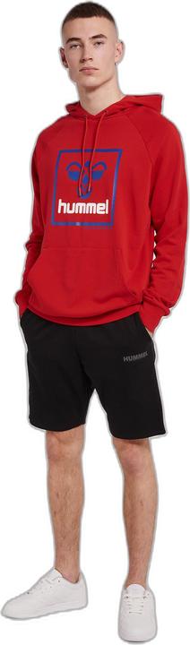 Image du produit hummel ISAM 2.0 HOODIE (L)