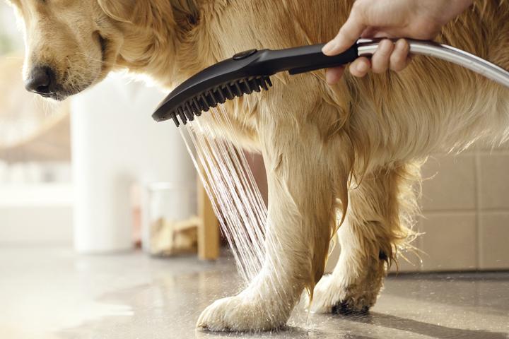Productafbeelding hansgrohe DogShower hondendouche 150 (3 straalsoorten) (3 Typen balken, 7.60 l/min)