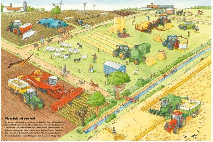 Productafbeelding Traktor, Kühe & Bauernhof: Das grosse Wimmelbuch vom Landleben (Duits, Christina Brown, 2023)