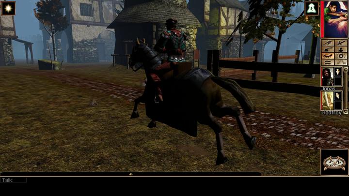 Image du produit Skybound Neverwinter Nights : Enhanced Edition (Switch, Switch OLED, Switch Lite)