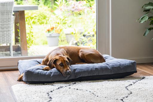 Image du produit Beeztees Coussin de couchage Orthopedic Veo (Chien)