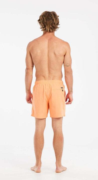 Immagine prodotto Protest BEACHSHORT FASTER beachshort (M)