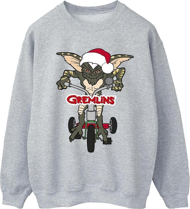 Image du produit Universal Textiles - Sweat BIKE LOGO - Femme (XXL)