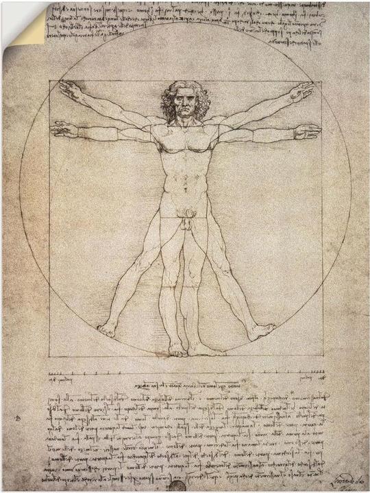 Image du produit Artland Dessin des proportions, d'après Vitruve. 1490 T6SM (90 x 120 cm)