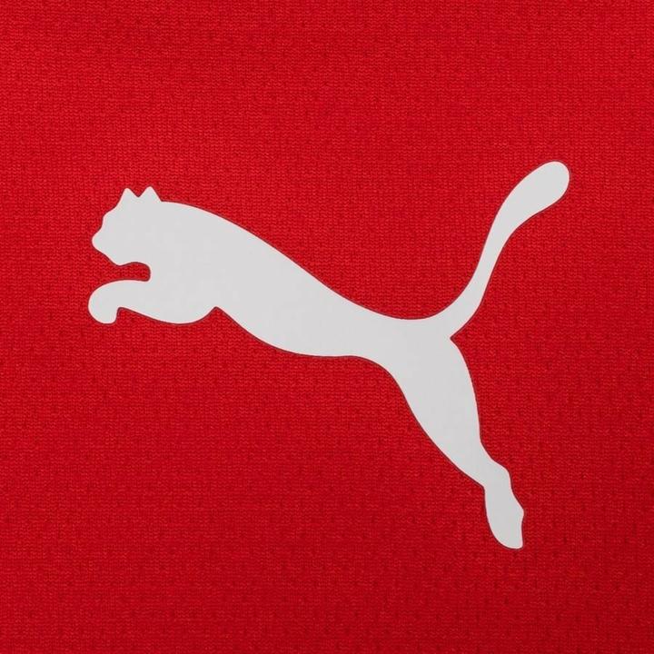 Immagine prodotto Puma teamRISE Jersey-704932 (XL)