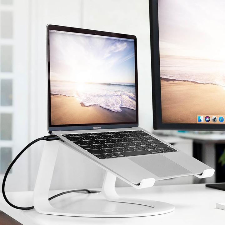 Actual product image TwelveSouth Curve SE