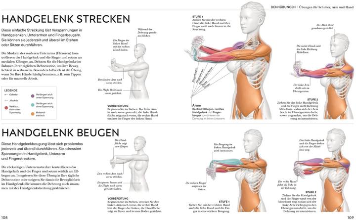 Image du produit Malek:Stretching - Die Anatomie versteh (Allemand, Leada Malek, 2023)