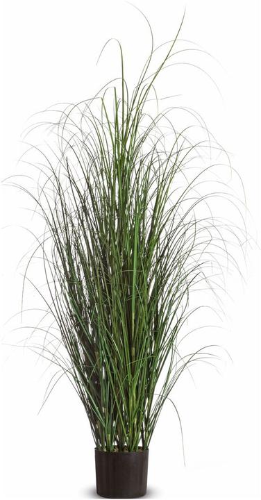 Actual product image Paperflow Grass (130 cm)