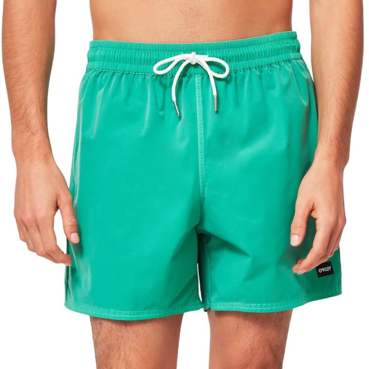 Actual product image Oakley Robinson RC 16" Beach Shorts (L)