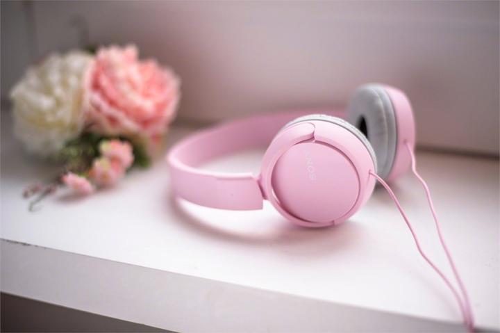 Immagine prodotto Sony Mdr-Zx110ap (ANC, Cablato)