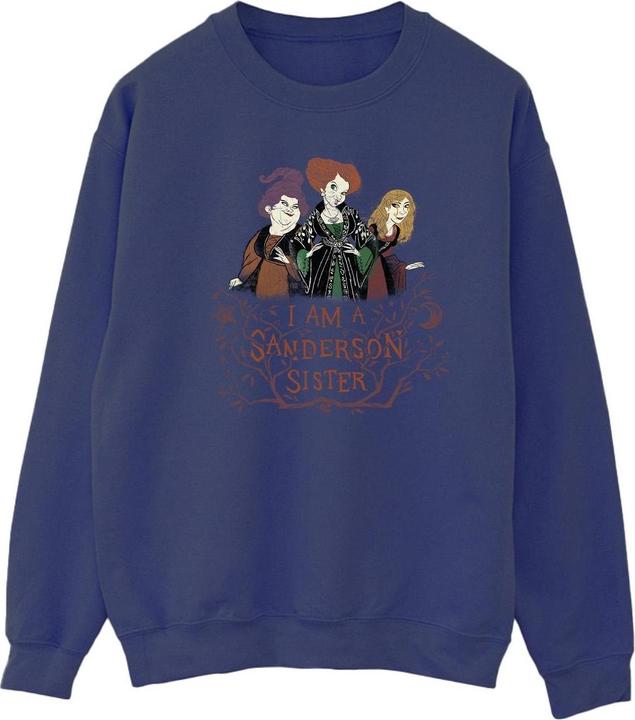 Immagine prodotto Disney Hocus Pocus Sanderson Sister Felpa Uomo (XL)