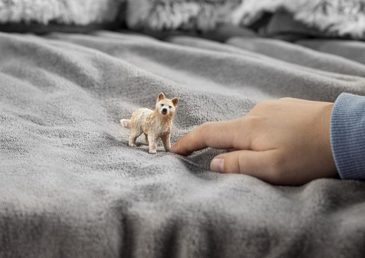Actual product image Schleich Arctic wolf pup