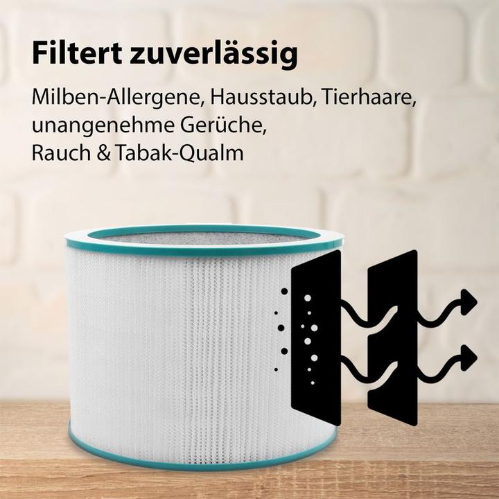 Immagine prodotto Hermex Filtro HEPA alternativo per il filtro del purificatore d'aria Dyson Pure 968101-04 (1 x)