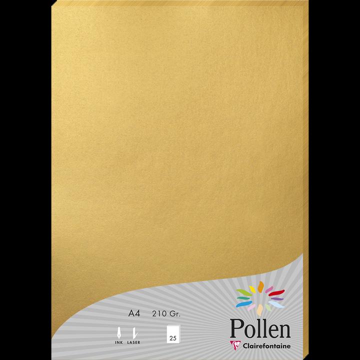 Actual product image Pollen Paper package (210 g/m², 25 x, A4)