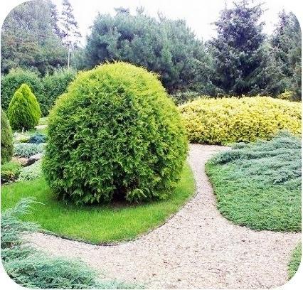 Image du produit Green Split Lot de 20 bordures de pelouse ultra-résistantes en aluminium 14cm x 1m (20m de long) | Bordure de (100 cm)