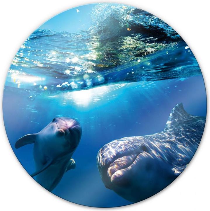 Immagine prodotto Trenddeko Delfini sott'acqua - rotondo (Ø 70 cm)