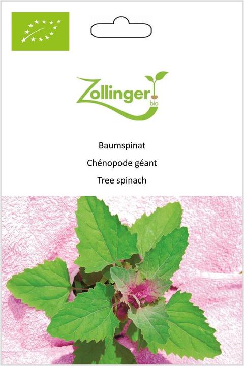 Immagine prodotto Zollinger Bio Spinaci ad alberello (Semi di piante)